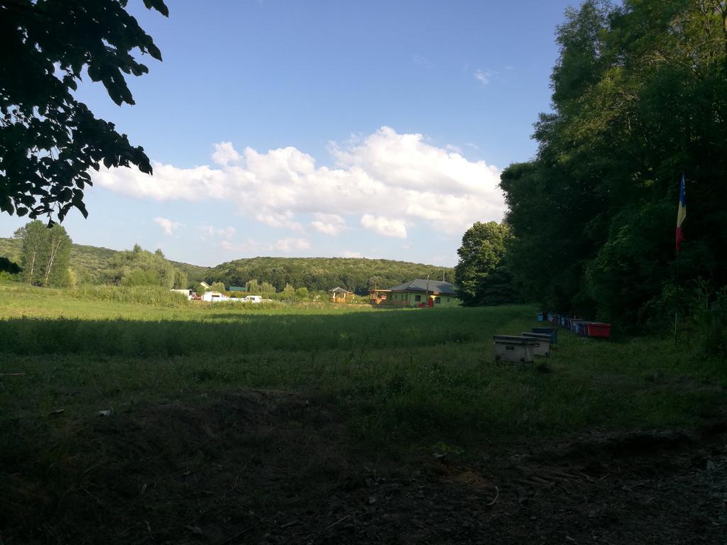 Agropensiunea Valea Fagilor Luncavita Екстериор снимка