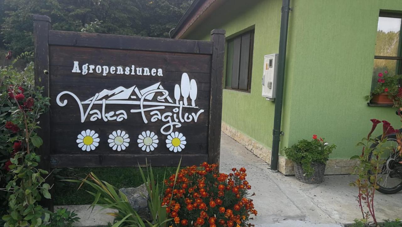 Agropensiunea Valea Fagilor Luncavita Екстериор снимка